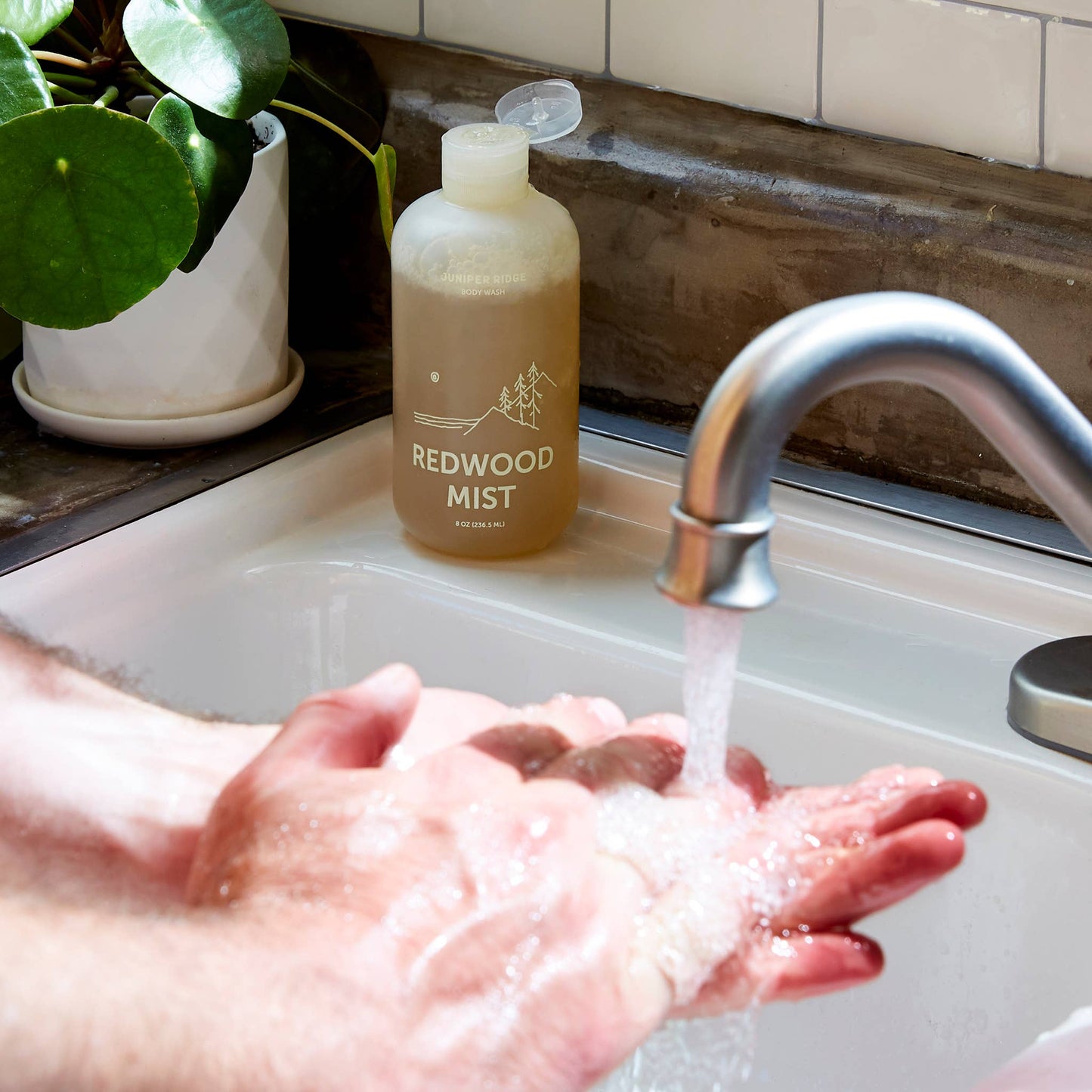 Body Wash - Redwood Mist