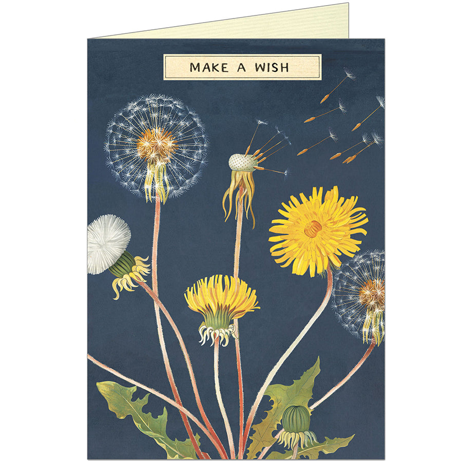 Make A Wish Birthday Card