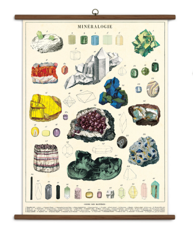Vintage School Charts