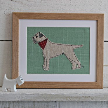 Border Terrier Picture