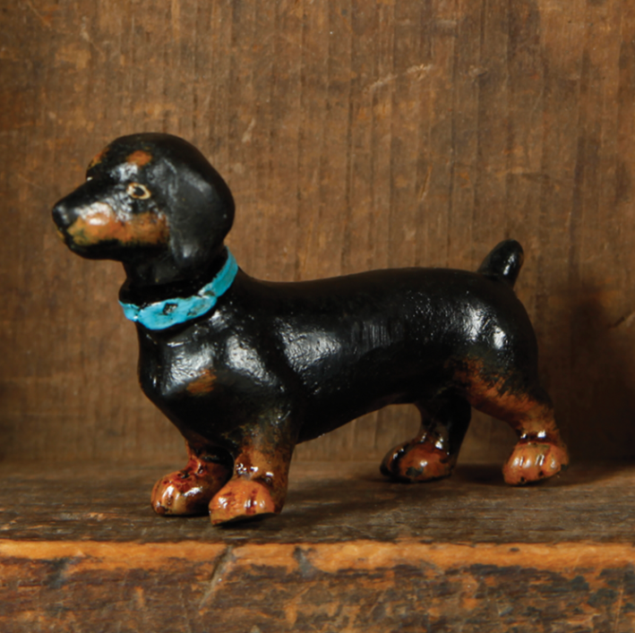 Penny the Dachshund