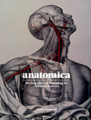 Anatomica: The Exquisite and Unsettling Art of Human Anatomy