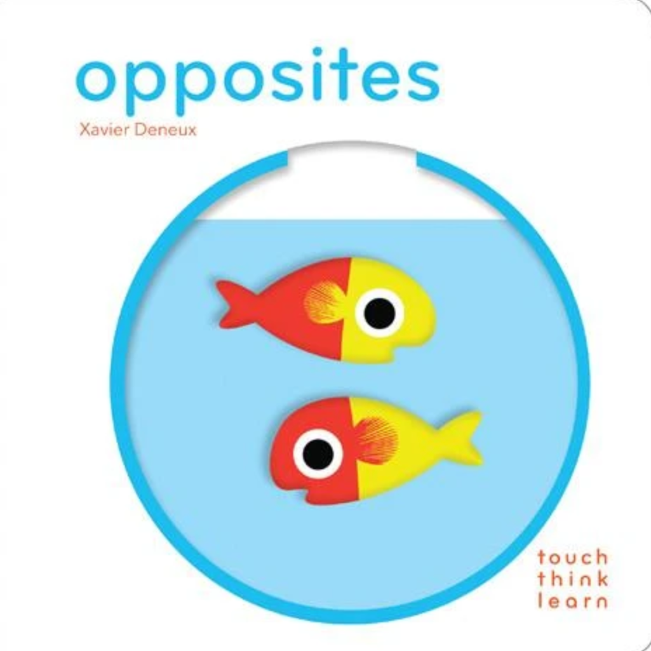 Touch Think Learn Big Board Books
