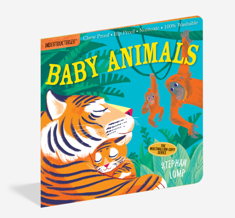 Indestructibles Kids Books